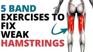 5 Band Hamstrings Strengthening Exercises At Home [upl. by Demetria632]