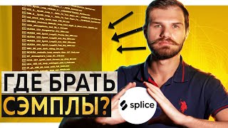 ГДЕ БРАТЬ СЭМПЛЫ Обзор сервиса Splice [upl. by Duffy]