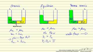 Reverse Osmosis [upl. by Ecital]