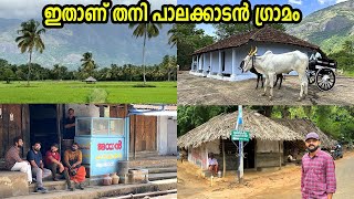 നമ്മൾ കാണാത്ത പാലക്കാടിന്റെ ഉൾഗ്രാമങ്ങൾ ഇപ്പോഴും ഇങ്ങനെയാണ്Remote Villages of Palakkad [upl. by Xanthe]