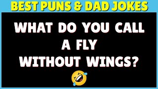 FUNNY PUNS amp FUNNY DAD JOKES TO MAKE YOU LAUGH SO HARD [upl. by Wong92]