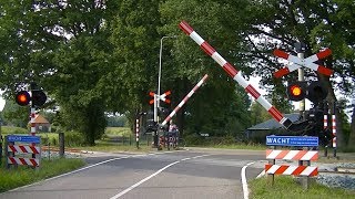 Spoorwegovergang Ruurlo  Dutch railroad crossing [upl. by Papotto720]