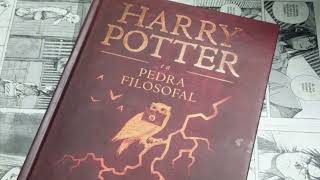 TDAH APHANTASIA autismo áudio livros para ajudar na terapia Harry Poter e a pedra filosofal Cap2 [upl. by Stepha533]