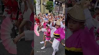 All the kids together😊 Awa Odori festival in HorikiriTokyo 20240609 ちびっ子と若者の総踊り2024 堀切かつしか菖蒲まつり [upl. by Osher]