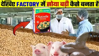 देखिए FACTORY में सोया बड़ी कैसे बनती है  Soyabean Badi Kaise Banti Hai  fact secure  Soya Badi [upl. by Ydnys]