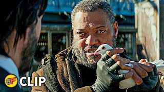 The Bowery King Scene  John Wick Chapter 2 2017 Movie Clip HD 4K [upl. by Anilef]