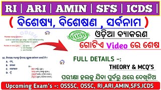 Odia Grammar Questions  OSSSC Odia Grammar  ବିଶେଷ୍ୟ ବିଶେଷଣ ସର୍ବନାମ  RI ARI AMIN  Grammar [upl. by Aivilys]