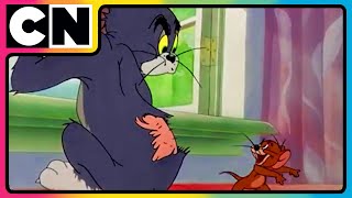 Tom amp Jerry 😺🐭  An Ode to Chaos  Nonstop Masti 🤩 Funny Chases 😆 Only on Cartoon Network [upl. by Nielson761]