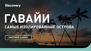 Гавайи  Самые изолированные острова  Discovery Channel [upl. by Nyladnar]