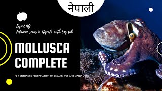 mollusca  cee biology  animal kingdom bsc ag  phylum mollusca  cee 2022  expert ag [upl. by Marybella263]