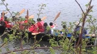 Blue Heron Canoe launched on Duwamish Alive day [upl. by Yatnuahs858]