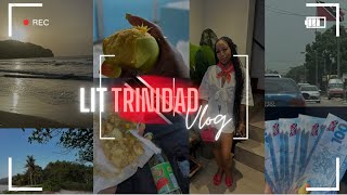 Trinidad Vlog  🇹🇹 Speaking in my accent for 24 hours  Trini Foodsnacks  Culture amp more 🫶🏽 [upl. by Kessia]