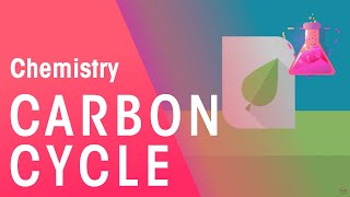 What Is The Carbon Cycle  Part 1 Environmental Chemistry  Chemistry  FuseSchool [upl. by Waiter]