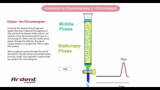 Introduction to Chromatography 5  Chromatogram [upl. by Ettelrac237]