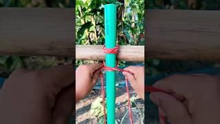 Simple technique of pipe blocking with bamboo [upl. by Walliw]