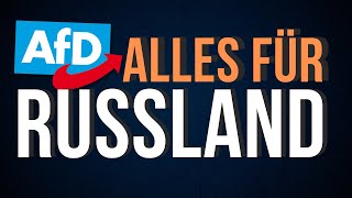 Beschlossen AfD wird Putin Partei [upl. by Ulphiah]