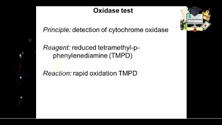 Oxidase test Handson lab [upl. by Aiker529]