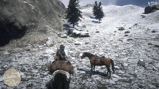 How To Beat The White Cougar in Red Dead Redemption 2 Part48 Winton Holmes [upl. by Theodosia]