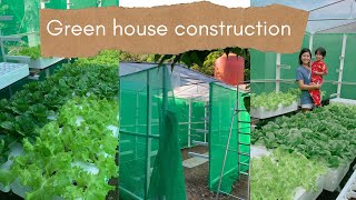 Ep9  Hydroponics Setup  How To Build Backyard Lettuce Greenhouse  Indang Cavite Philippines [upl. by Bertolde491]