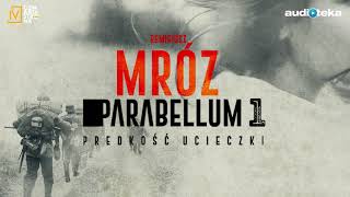 Remigiusz Mróz quotParabellumquot  część 1  audiobook [upl. by Genesia439]