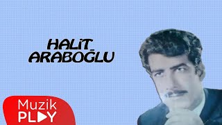 Sevda Yüklü Kervanlar  Halit Araboğlu Official Audio [upl. by Ordisi254]