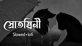 Sotoshinia স্রোতস্বিনী  Encore slowedlofi music Bangla lyrics [upl. by Adnowal]