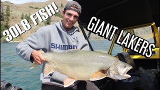 GIANT 30lb Laker in the Okanagan [upl. by Sommer924]