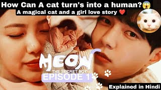 Meow  The Secret Boy episode 1 explained in hindi  Korean Drama  Series Explained  Riya Dutta [upl. by Ydnolem953]