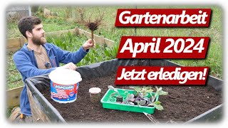 Gartenarbeit April  Erdbeeren amp Kohlrabi Lavendelschnitt Gemüsegarten mit Hochbeeten [upl. by Newman869]