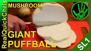 giant puffball mushroom to eat [upl. by Anidal]