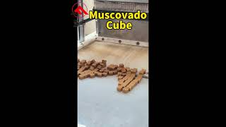 2cm cubic Muscovado making machinebrown sugar cube maker [upl. by Thelma]