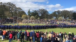 Downlands 1st XV Highights 2016  The Comeback Year [upl. by Aketahs297]