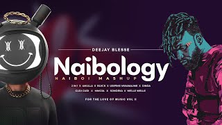 Naibology  Deejay Blesse [upl. by Placidia396]