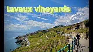 Day visit to Lavaux Vineyards  UNESCO world heritage  Switzerland 🇨🇭 [upl. by Elbon851]