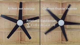 Chemical Equilibrium Explained  Video Tutorial  Crash Chemistry Academy [upl. by Hanni]