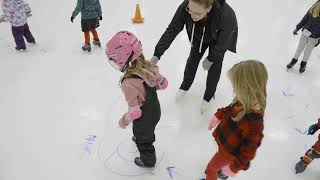 Ice Den Learn to Skate 60 [upl. by Renato]