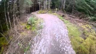 Nevis Range Blue Trail Downhill Section [upl. by Elnar346]