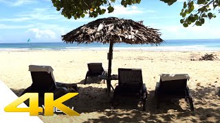 Bocas del Toro Panama 4K  Palmar Beach Lodge amp Red Frog Beach [upl. by Debora]