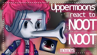 Uppermoons react to Noot Noot memes   kny  GC [upl. by Uriiah]