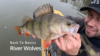 River Perch fishing with new Westin W2 rods [upl. by Nniuq]