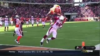 Jerome Simpson Front Flip Touchdown NFL [upl. by Thorbert198]