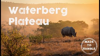 Walking with Rhinos 4WD Camping at Waterberg Plateau Namibia [upl. by Nauj]