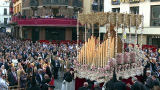 Virgen del Patrocinio en Campana 2023  BM Oliva de Salteras  Semana Santa de Sevilla [upl. by Atikaj747]