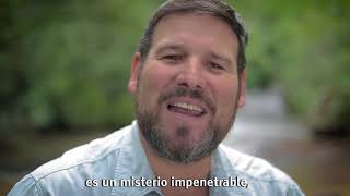 MISIONERITA Canción oficial de la Provincia de Misiones  versión de Fausto Rizzani [upl. by Damali]