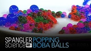 Popping Boba Balls  Cool Science Experiment [upl. by Odel]