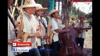 Orquesta Purhepecha La Herencia de Ocumicho Michoacan Album Completo [upl. by Cary]