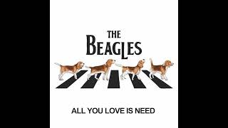 THE BEAGLES • ALL YOU LOVE IS NEED 1966 • OUTTAKE BOOTLEG [upl. by Cyrilla]