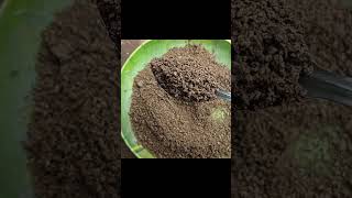 Fertilizer for Jasmine plant  Seeds and fertilizers for sale contact  only WhatsApp  8801719727 [upl. by Nire]