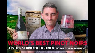 Finest Burgundy Wines  Your Guide to Top Pinot Noirs  VosneRomanée Pommard GevreyChambertin [upl. by Ahtenak252]