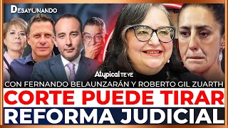 NORMA PIÑA le da Golpe a SHEINBAUM Reforma Judicial en PELIGRO [upl. by Ibbie12]